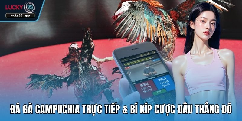 Đá gà Campuchia